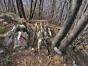 Benedetta primavera sui sentieri per il Monte Ubione da Ubiale-18mar23 - FOTOGALLERY